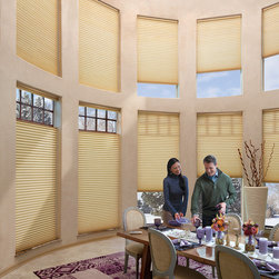 Hunter Douglas Blinds - Window Treatments