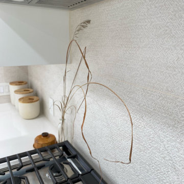 Modern Minimal Renovation + Addition
