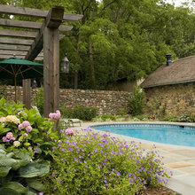 Landscape Ideas