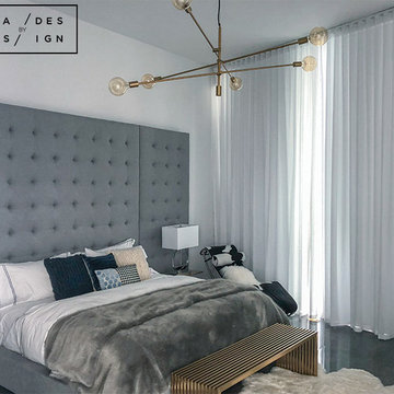 Motorized Sheers and Blackout Shades