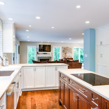 Modern Reston Kitchen & First Floor