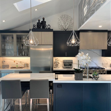 Mississauga Contemporary
