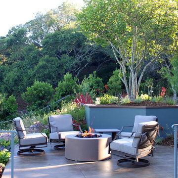 Mill Valley Hillside Garden