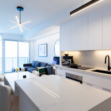 Modern Minimalist Urban Condo