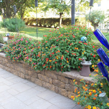 Patio for Outdoor Entertaining