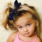 Tracy Gianino Gibson's photo