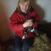 Anne Collins's photo
