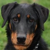Christel Dupuis's photo