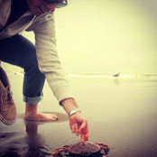 Alex Mcharrie's photo