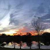 Kathie Michael's photo