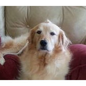 Foto von Sharon Ledford
