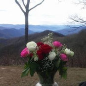 Patti Koch's photo
