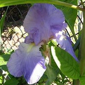 Randa-Lynn Gordon's photo