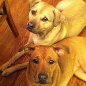 Jennifer Katzenstein's photo
