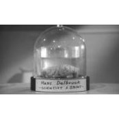 Ray Longoria's photo