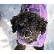 Tine Curran's photo