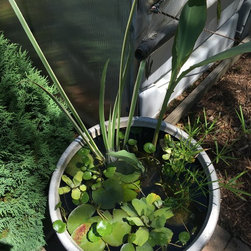 Water Gardening - Outdoor Fountain And Pond Accessories