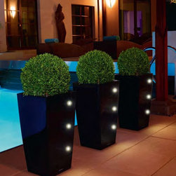 Modern Planter - Products