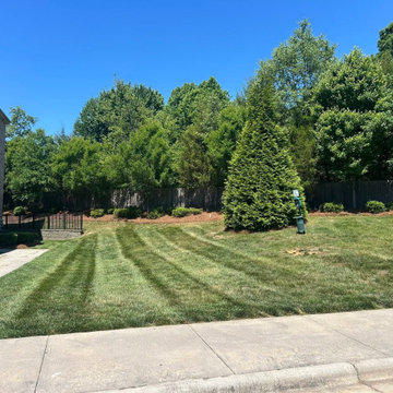 Custom Turf Landscape Area with Stone Border