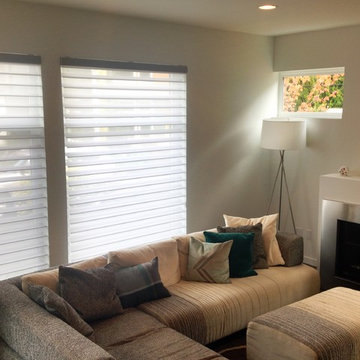 Silhouette Window Shading