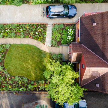 Neglected Landscape Turns into Pollinator Paradise