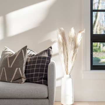 Living Room - Contemporary