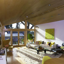 Modern bungalow