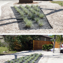 Backyard/landscape