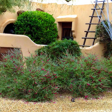 The Problem of Overpruning Flowering Shrubs