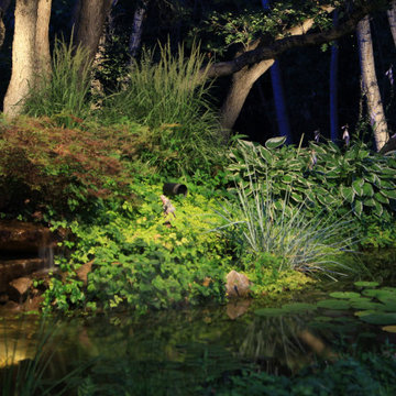 Landscape Water Feature Lighting