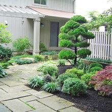 Landscape Ideas