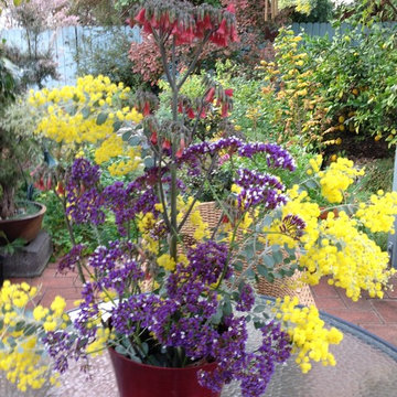 Pasadena Cottage Garden: flowers galore