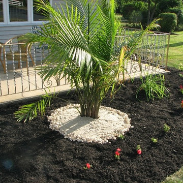 My Projects