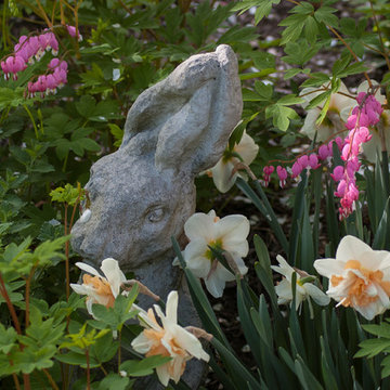Spring Bulb Garden