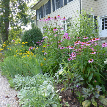 Formal Gardens - Summer in North Border
