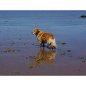 Jill Covill's photo