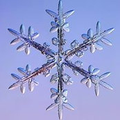 Cathy Layton's photo