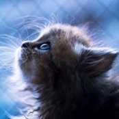 Юна Андерсен's photo