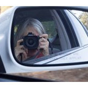 Marlene Frankel's photo