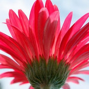 Darlene Matthews Kuykendall's photo