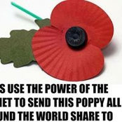 Susan Wilson's photo