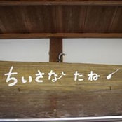 ちいさなたね's photo