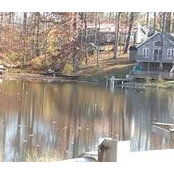 Beth Johnson McMullen's photo