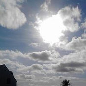 Grace Howe's photo