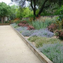 Drought tolerant backyard project