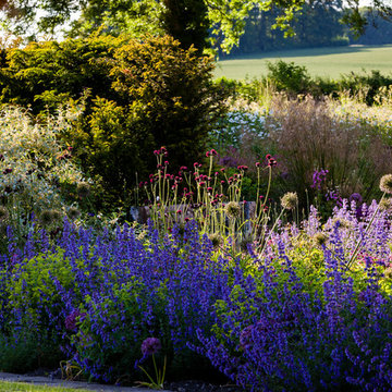 A garden of woodland, meadow, lawn and rich planting