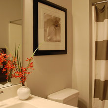 guest bathroom gso