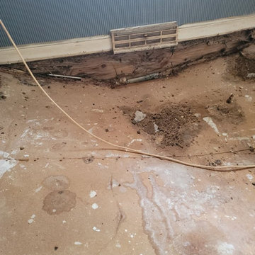 Exterior Damage leads to Renovation