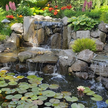 Small fish pond and landscape