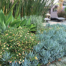 Landscape For Front Yard